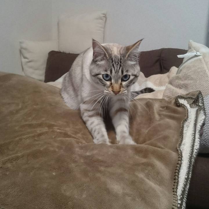 B4b39584 9b9f 4b67 9a9f 50485e1df68b