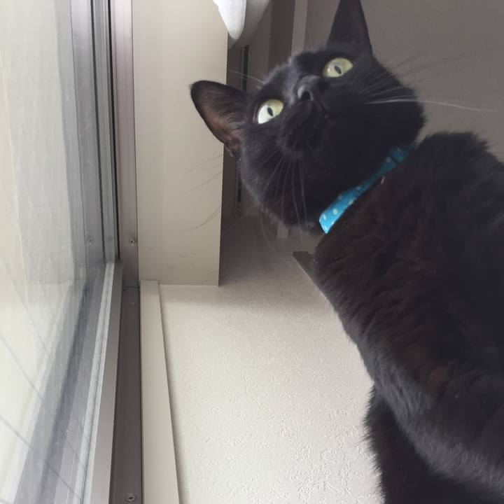 B4b3d6fe 3b90 40d0 9206 47fe28f7f4e3