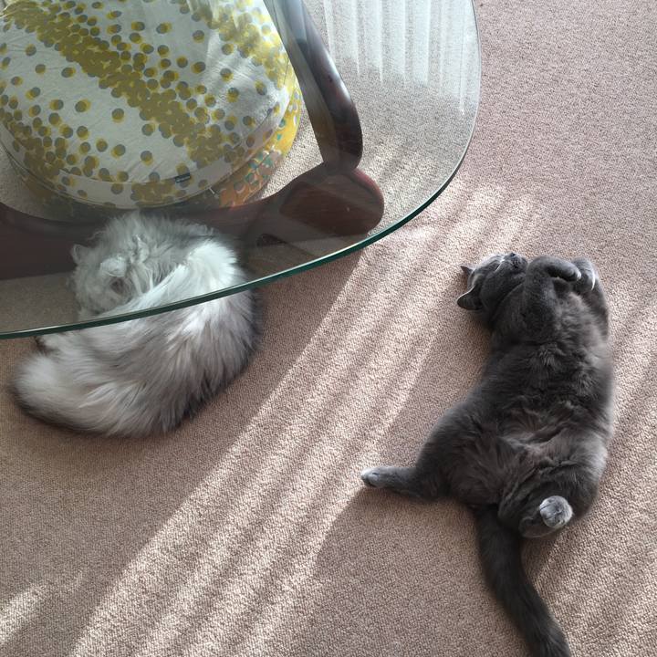 B4b3df57 aacd 4864 9b88 6b7f2541d347