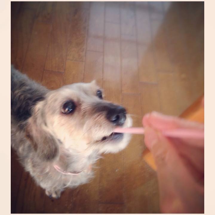 B4b44283 9087 4297 94cb fb50ee82a1ad