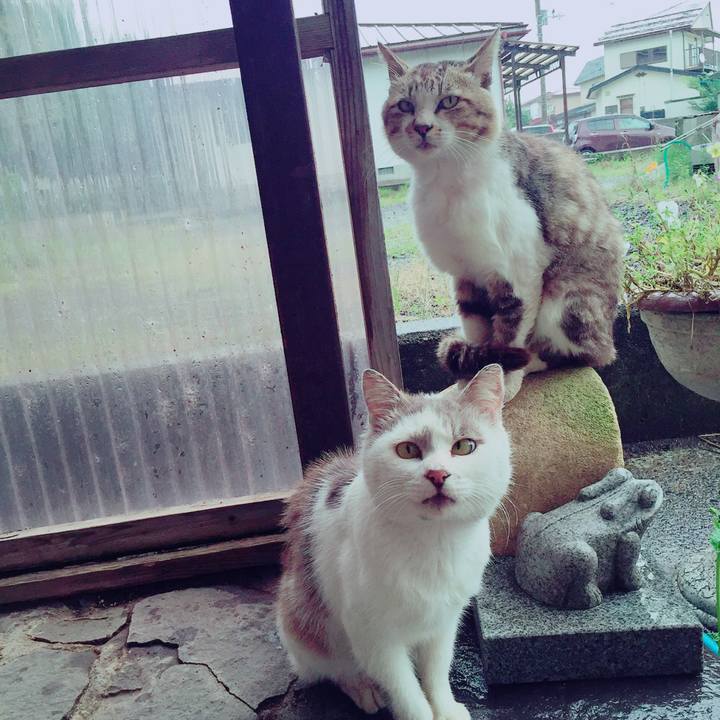 B4b461b1 9f77 4f48 89d6 a9d4703391cb