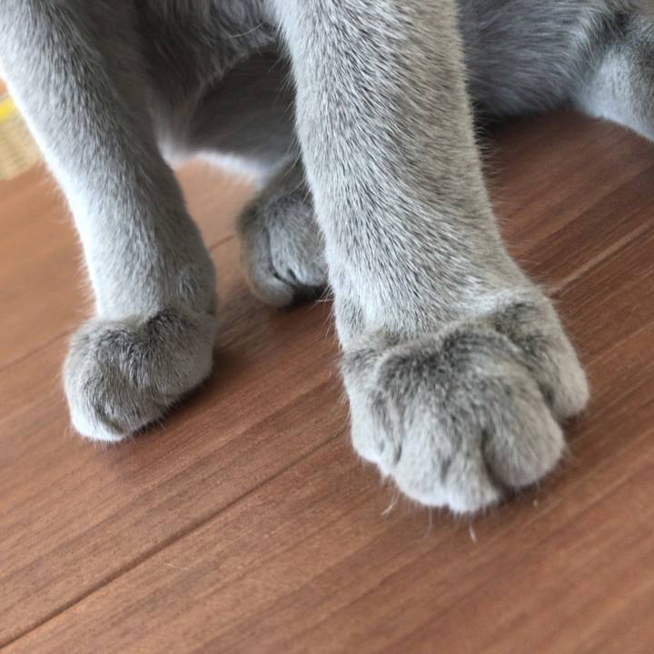 B4b48aab 8e37 464c 8c18 fc4bc342cacf