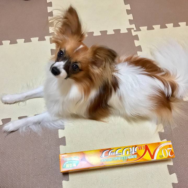 B4b4a850 1695 4030 a85f adbf4bf96287