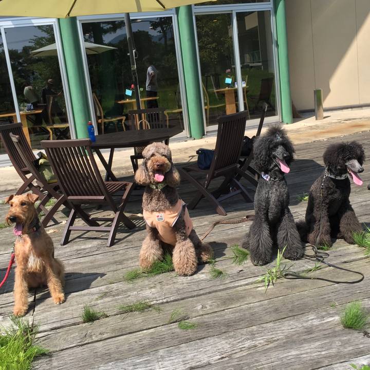 B4b65e8a ebb5 4477 8023 683488d93525