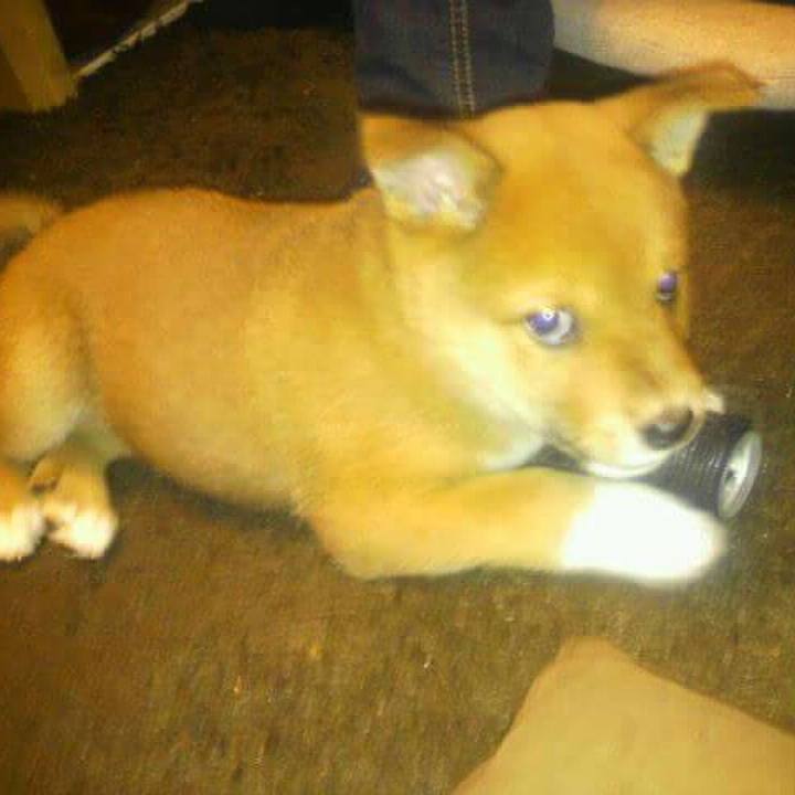 B4b66a7e e27e 4dfc a2ff 7466d6f0f798