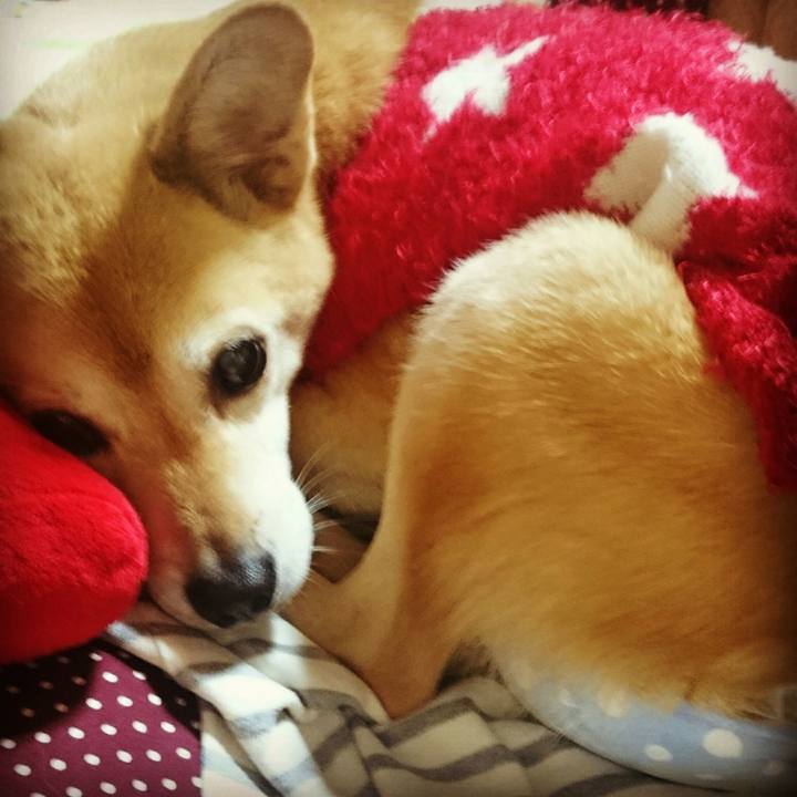 B4b6865b a285 4bd9 ada2 07a152eb4894