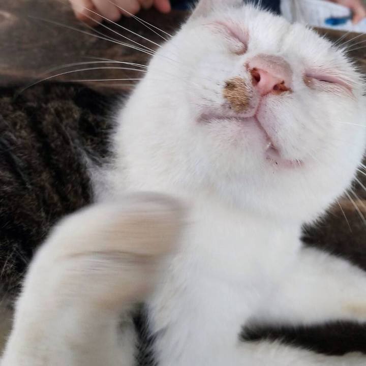 B4b6b944 e637 4a69 9b5e 7d0f90301c22