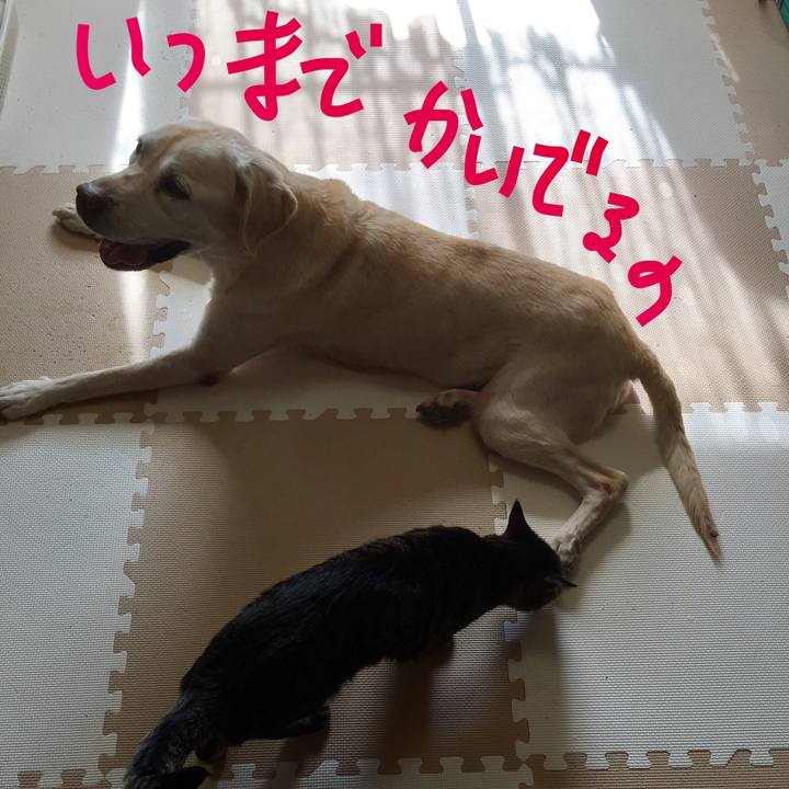 B4b7a1da f07b 466b a437 281857b1640c