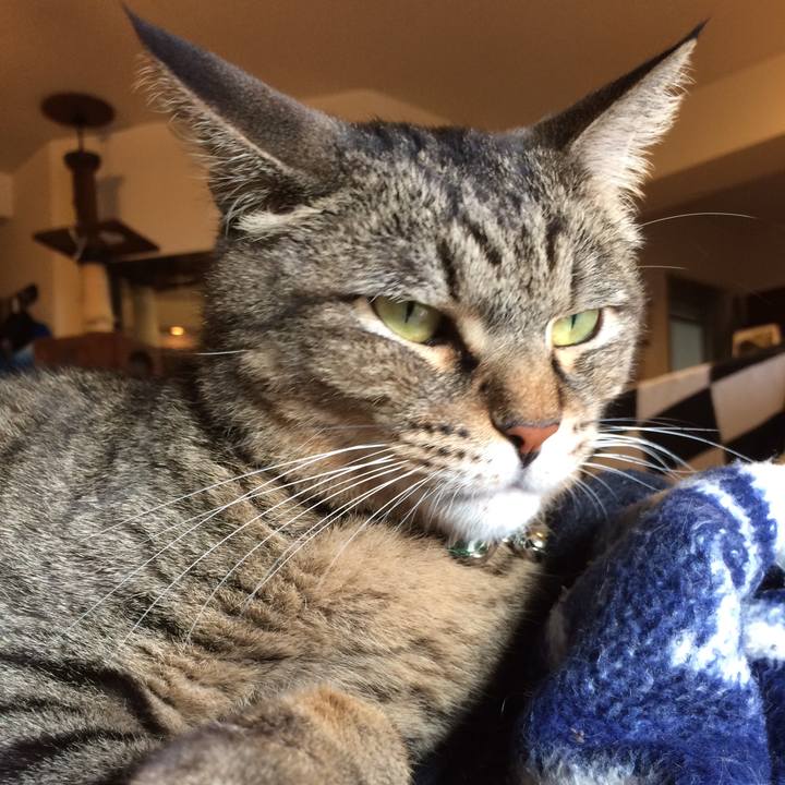 B4b80419 4b14 4174 ac15 aae841409eb5