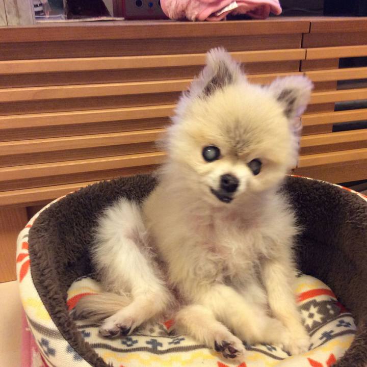 B4b83639 2c2c 4a34 badb b7aed2a91494