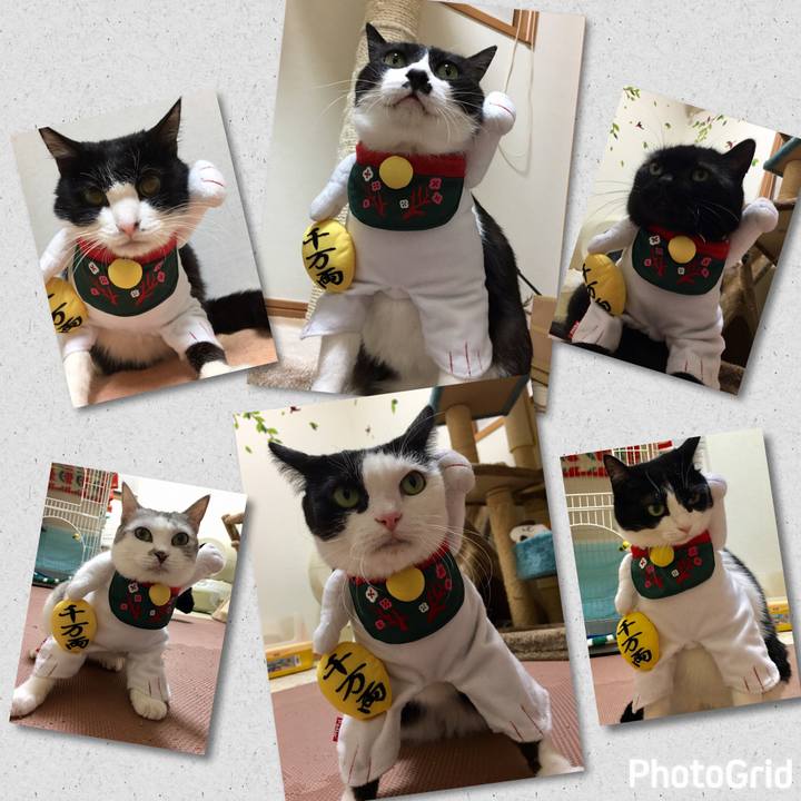 B4b89b99 e71c 4e64 bab6 fa1070c60c2d