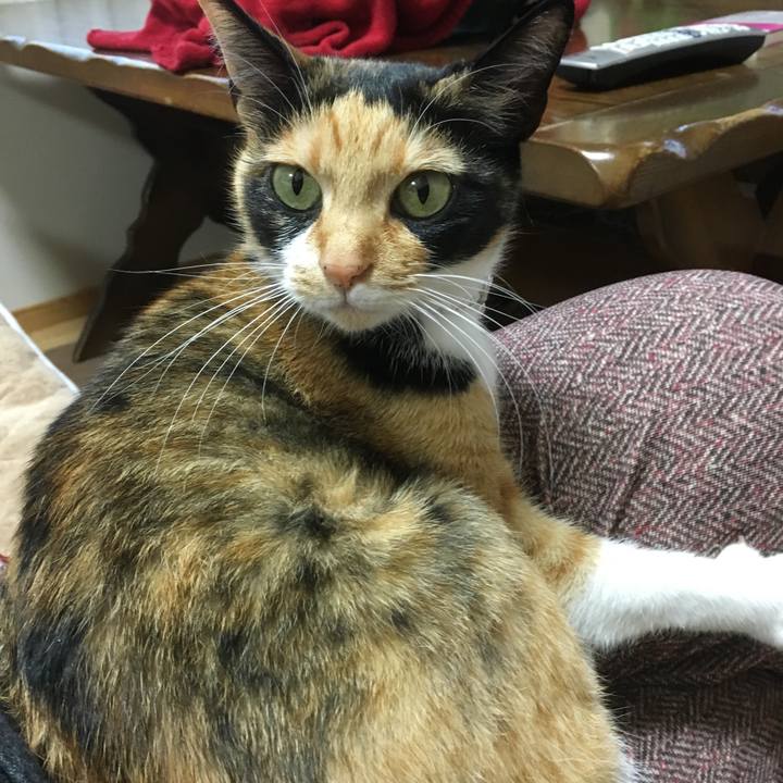 B4b8c4f4 27c8 4748 bddf eca0d2e23566