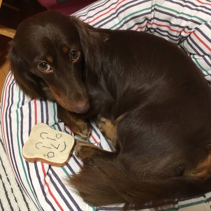 B4b8ce7a 73d3 4894 9b82 ebe08834a474