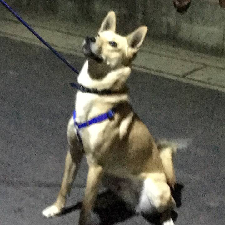 B4b95907 bceb 4351 aea5 65f277ed25eb