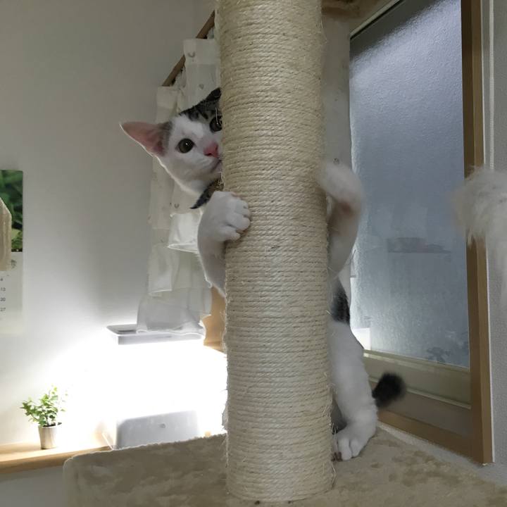 B4b9a041 638f 4792 ab64 34e81285ee0d