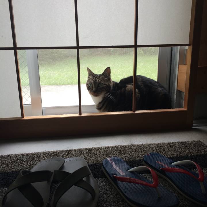 B4ba052b b458 4650 bbd3 6f21c40741f0