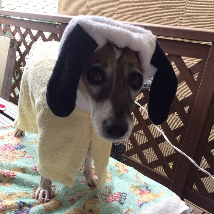 B4ba53e5 2188 43ba 9fff f2492047c983