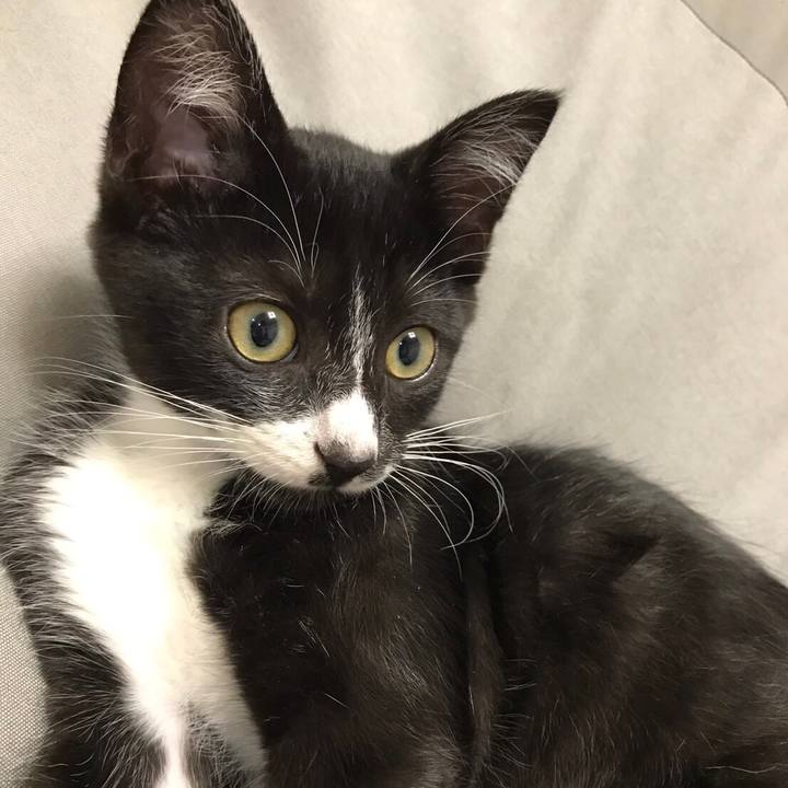 B4ba89c6 b812 4dc8 bdb1 175963a3fb10