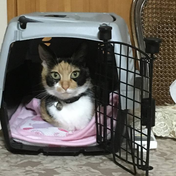 B4ba8c67 30f4 47c3 95ac 3f5db5cb3f20