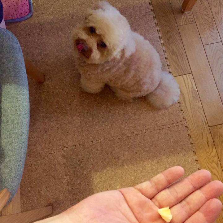 B4bb4947 12a1 410b afdb d8c16fda3afe