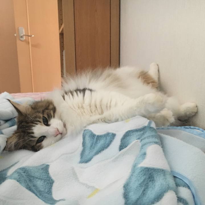 B4bb9522 1be6 4328 957d 7fd8b221f95a