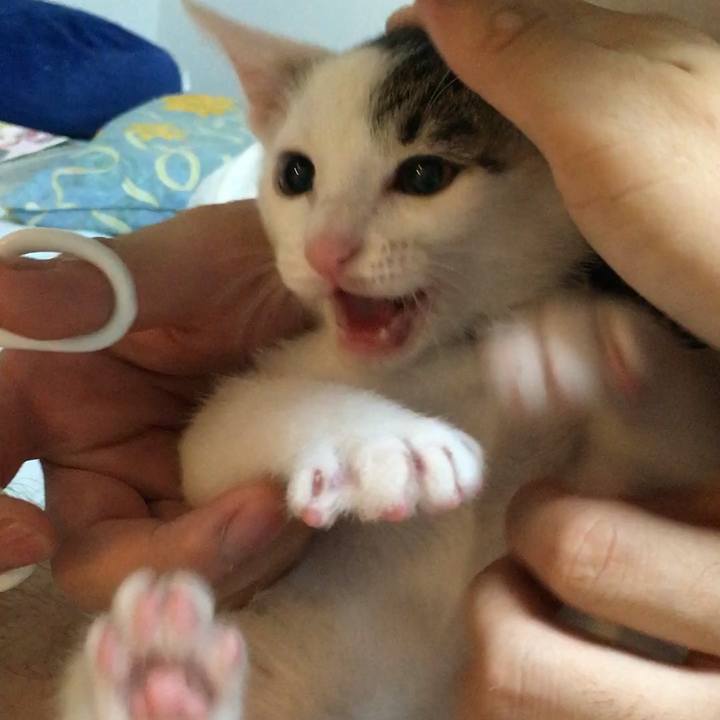 B4bc3603 99b9 4ef1 9a1d 7e58f61f77d2