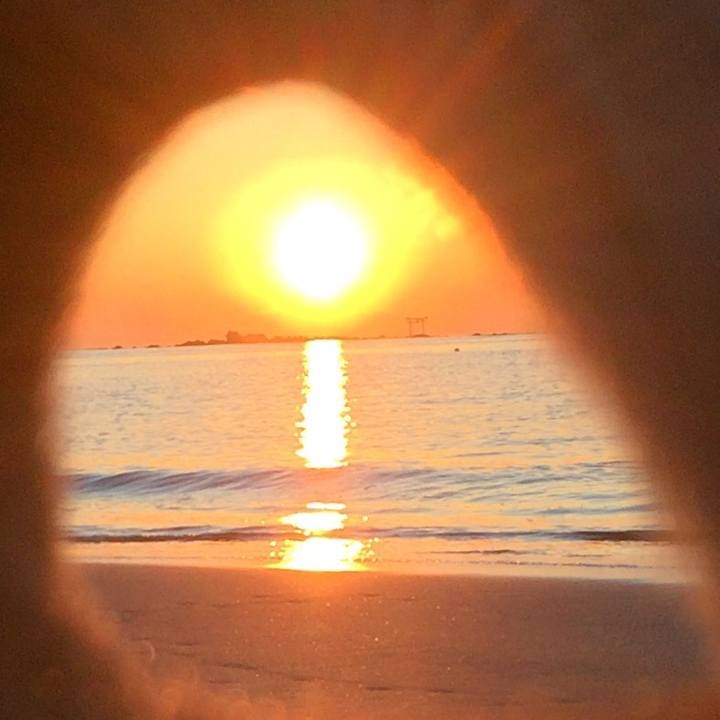 B4bc741b e365 4e80 a74a 4b1dcb0f5299