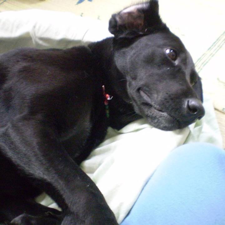 B4bc91fd a4af 4498 93cd 1142ec4e8713