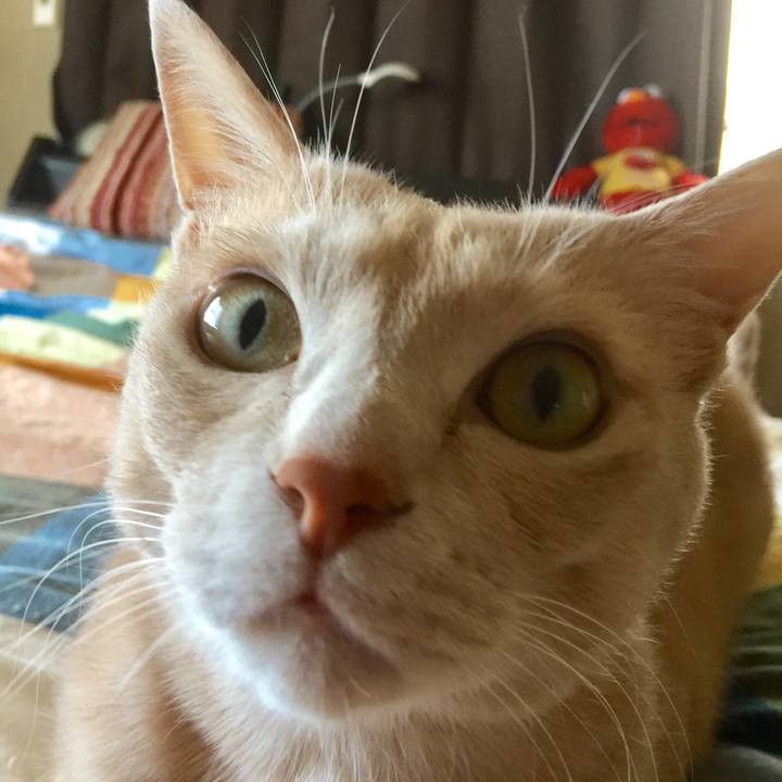 B4bd0b7f 7d2b 4745 966e dae48e029cde