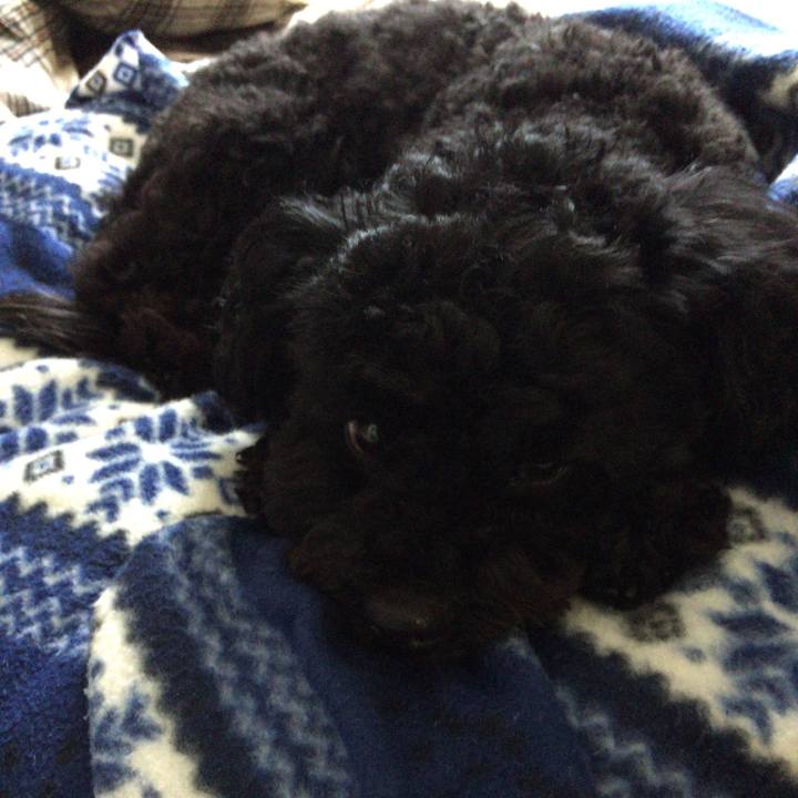 B4bd5c59 4737 4974 a738 87f86e1f27e9