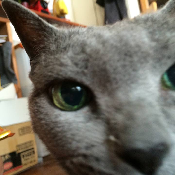 B4be0304 640c 48e3 bf77 da4a75d4d21d