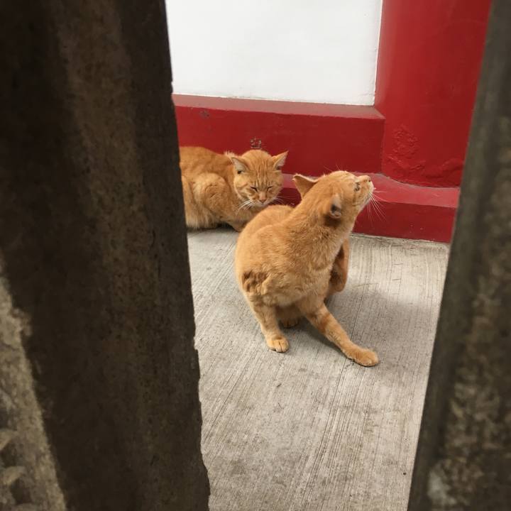 B4be1231 e8fd 4efe 8f8d dd37cc6ff964