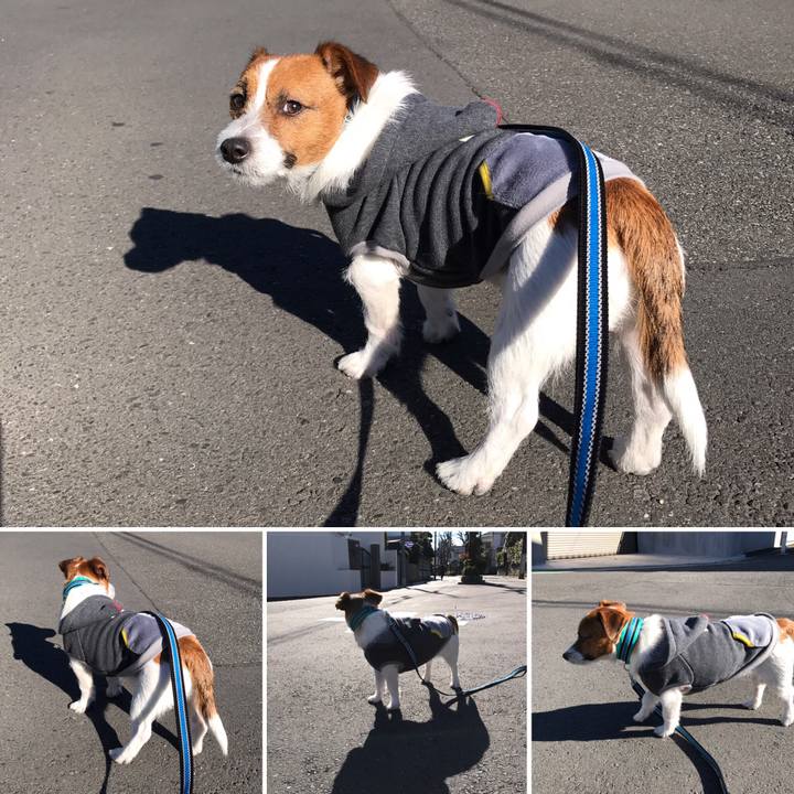 B4be6681 63b4 4f1d b5e0 d9e7da231674