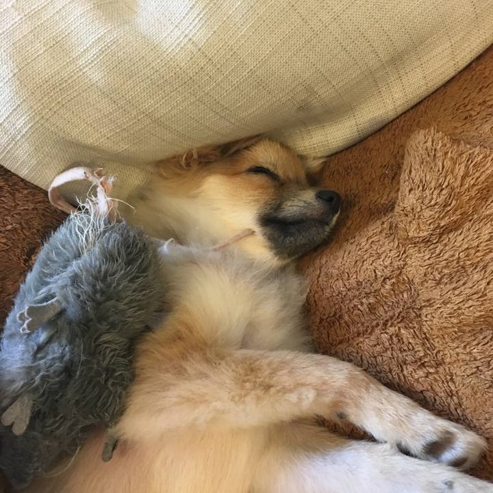 B4beaaaf e0c7 4eec bb6e 6450c51a5b1d