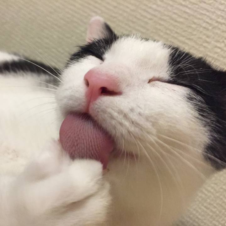 B4c03e05 e60f 4fe2 8524 817b9e286c79