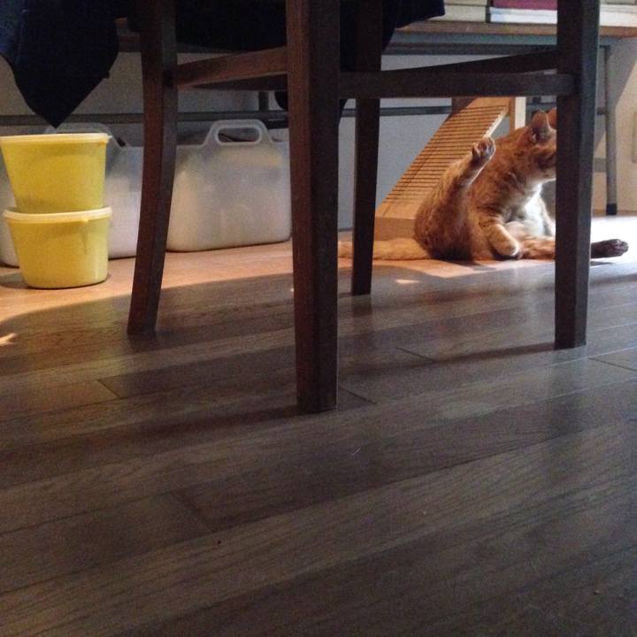 B4c08c50 7088 4485 a542 72ba8c39e720