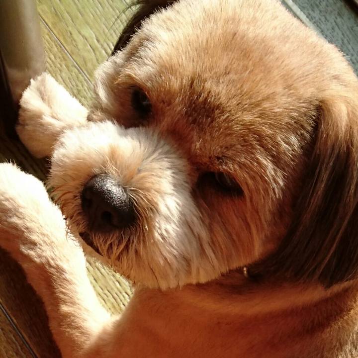 B4c13b96 504c 44da 80fc a1c335392884