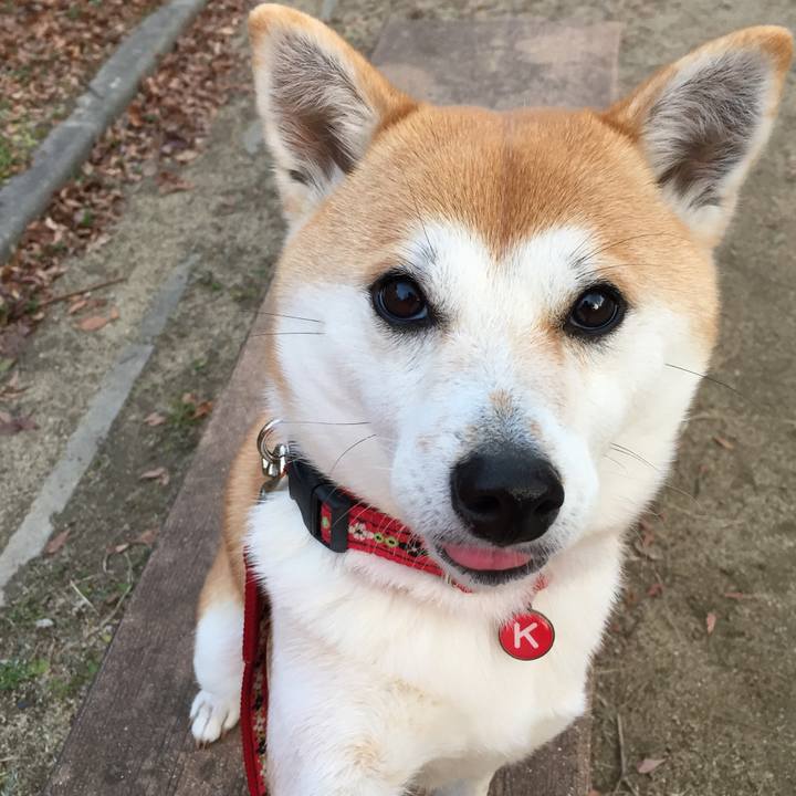 B4c15633 805a 446b bcda b55d39affabc