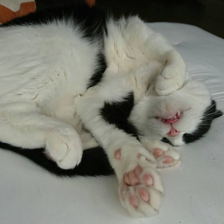 B4c159a0 946b 46e1 b903 dddef8ade633