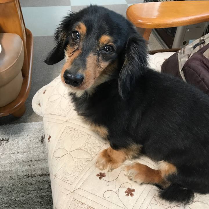 B4c15ba7 3d57 4a7f 8bb5 1e5c49cab97c