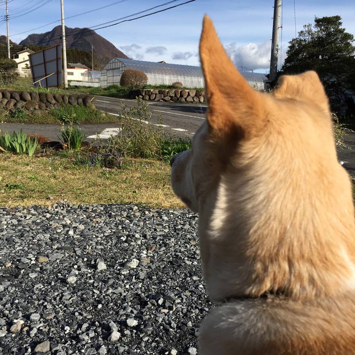 B4c17459 21f4 410d 8ff9 edfa43c09d4c