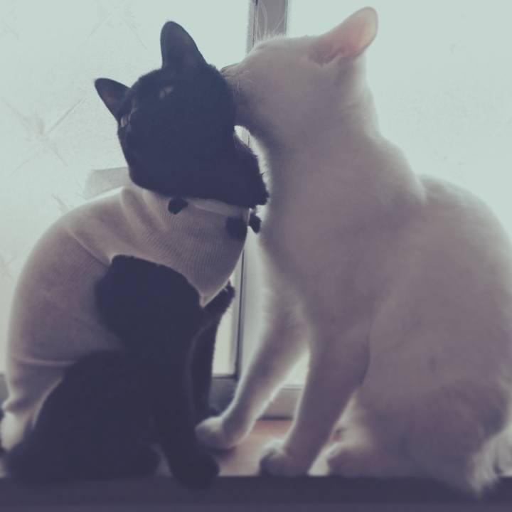 B4c19d4a 6b5b 47c5 b3d4 17c31c5681cd