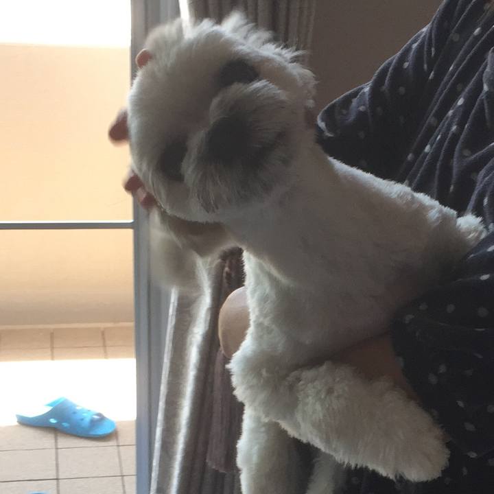 B4c1a6b9 410e 4a16 9b99 cceda096538b