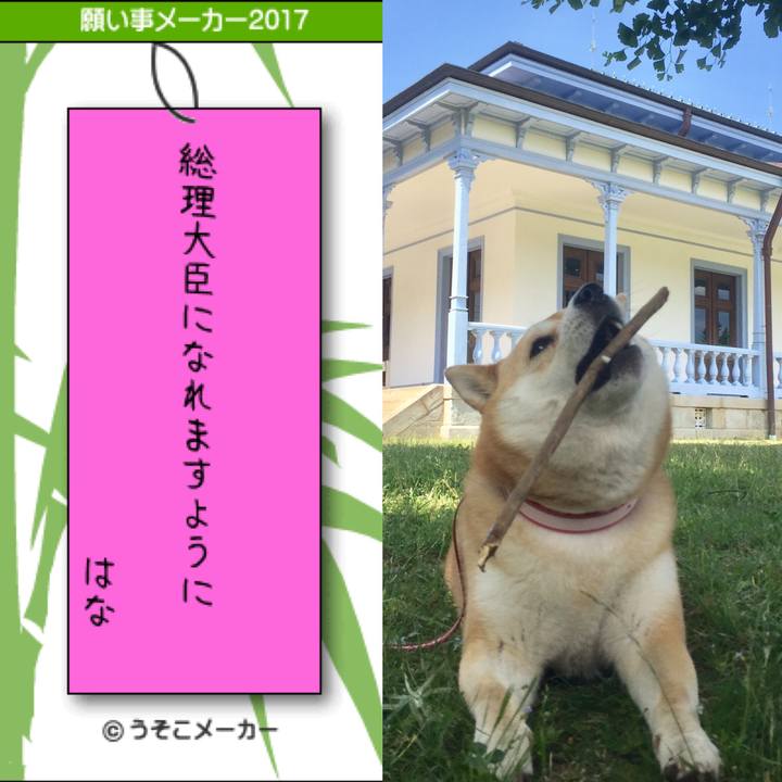 B4c1eef4 cccd 4ee8 9a5c 459826b4a9a2