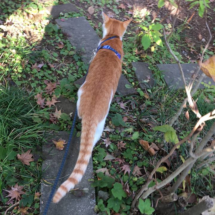 B4c2a8fa f2e2 44ce 815e 0e4321d92eec