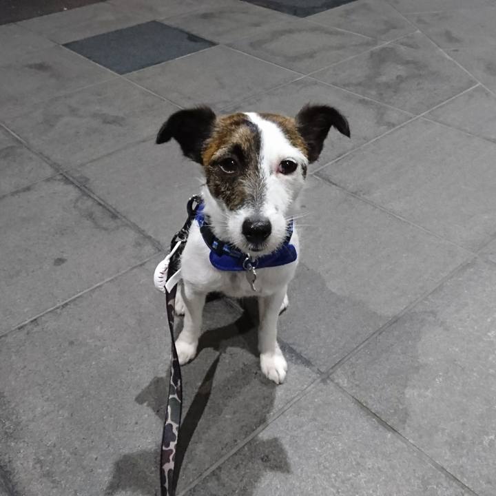 B4c2d0a1 cbeb 4cfe 9367 a811d2d3af58