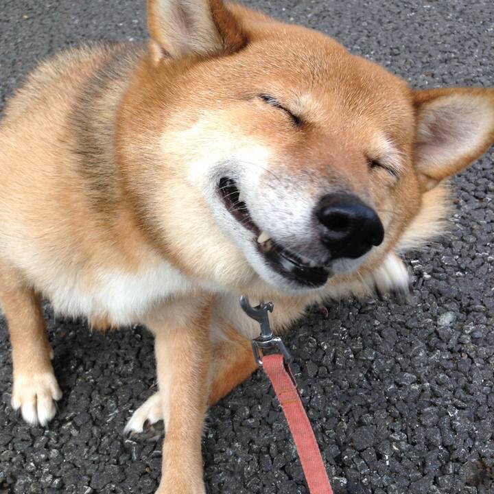 B4c4266b 0348 4a6e 9e03 1afee1035df2