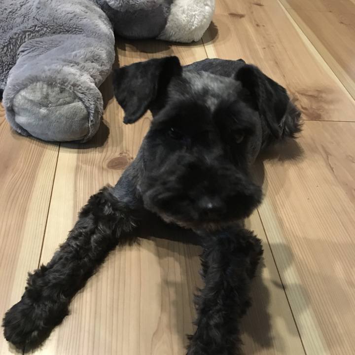 B4c44754 91d9 4779 b5e1 11867a37b883