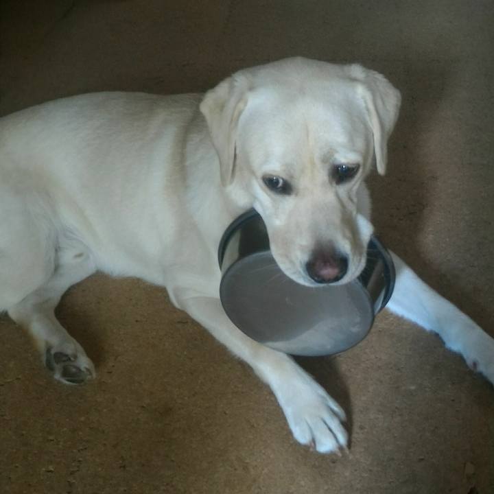 B4c4a310 8d9c 4f98 bdc0 76be90dbcc84