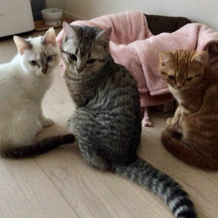 B4c53bb0 d896 4832 9c26 8ea13326ff3f